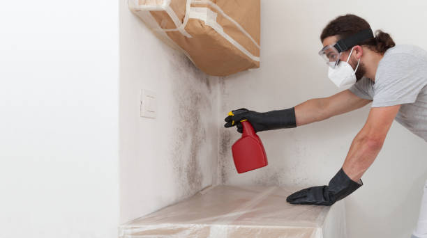 Professional Crawl Space Mold Removal technician working in Oradell, NJ