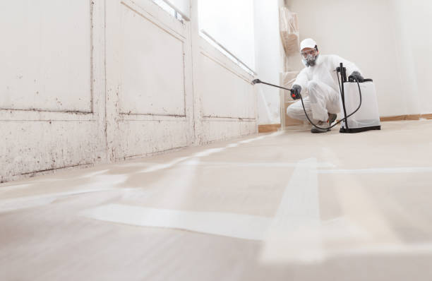 24/7 Emergency Crawl Space Mold Removal experts in Oradell, NJ